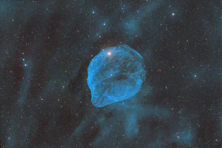 Sh2-308 – Dolphin Head Nebula