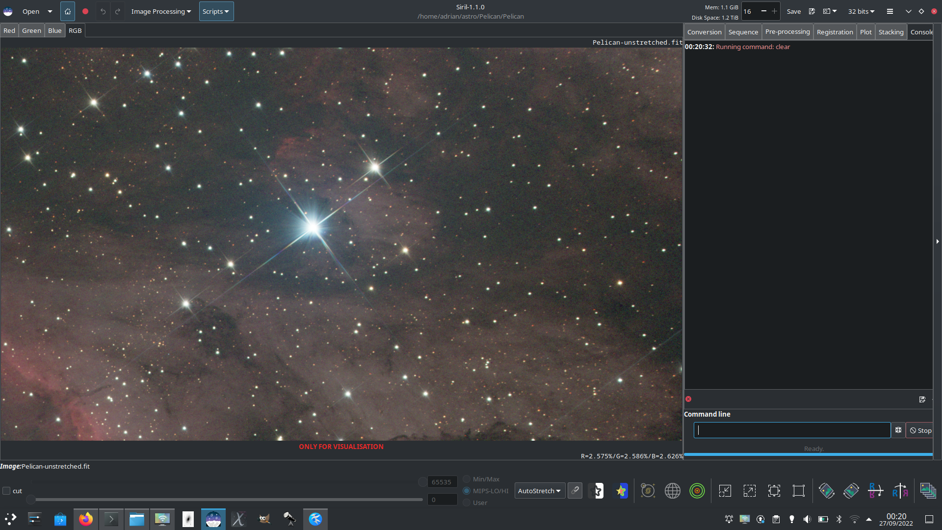 Saturated stars near the Pelican nebula